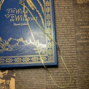 Gold Chain Necklace (19")